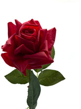 Abby Real Touch Red Rose