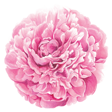 PEONY PLACEMAT S/12