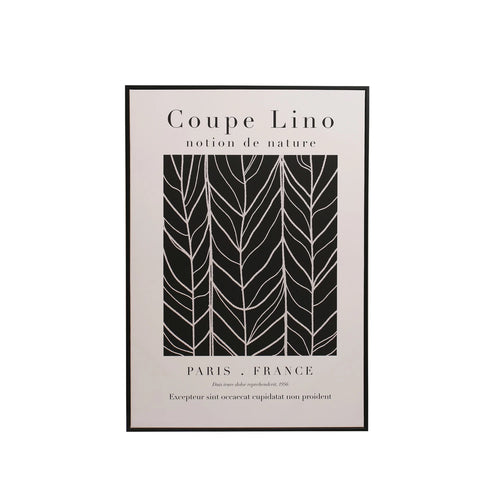 COUPE LINO