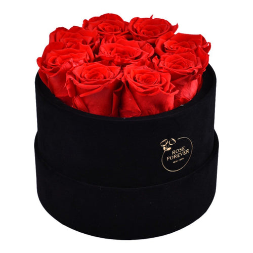 BLACK VELVET RED ROSES