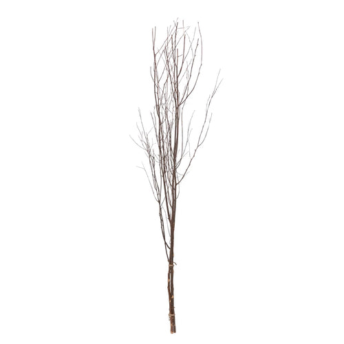 BIRCH BRANCH BUNCH (3 PIECES)